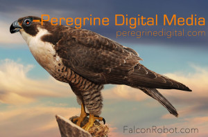 Peregrine Digital | Falcon Robot