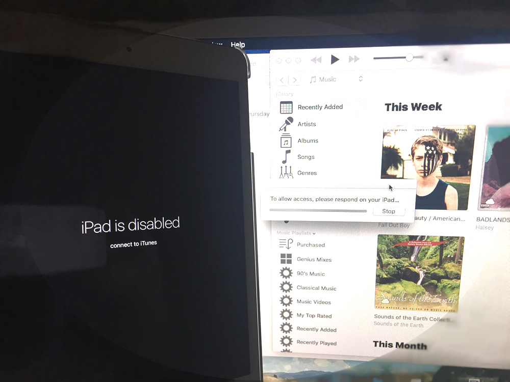 iPad Mini 2 Retina failed to load iOS 10