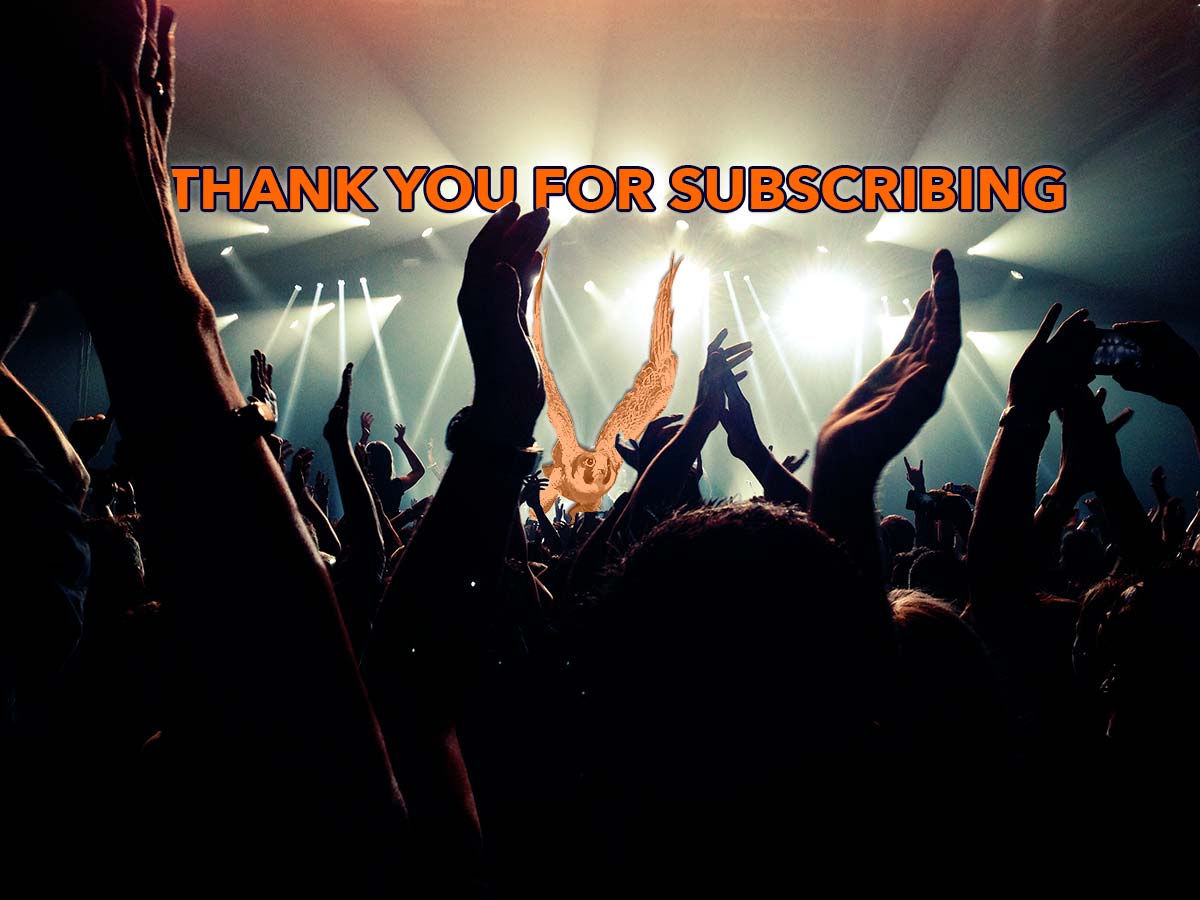 ThankYou-For-Subscribing-PDM Thank You
